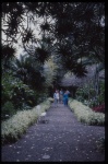 Halley-resor 1986; Loro Park, Puerto de la Cruz, Botaniska,Palmitos Park,Gran Canaria