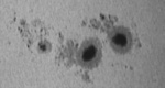 sunspots_562_24072004: 12 tum SC, f/10, Baader Solar Filter, ToUCam PRo, Registax behandlad avi