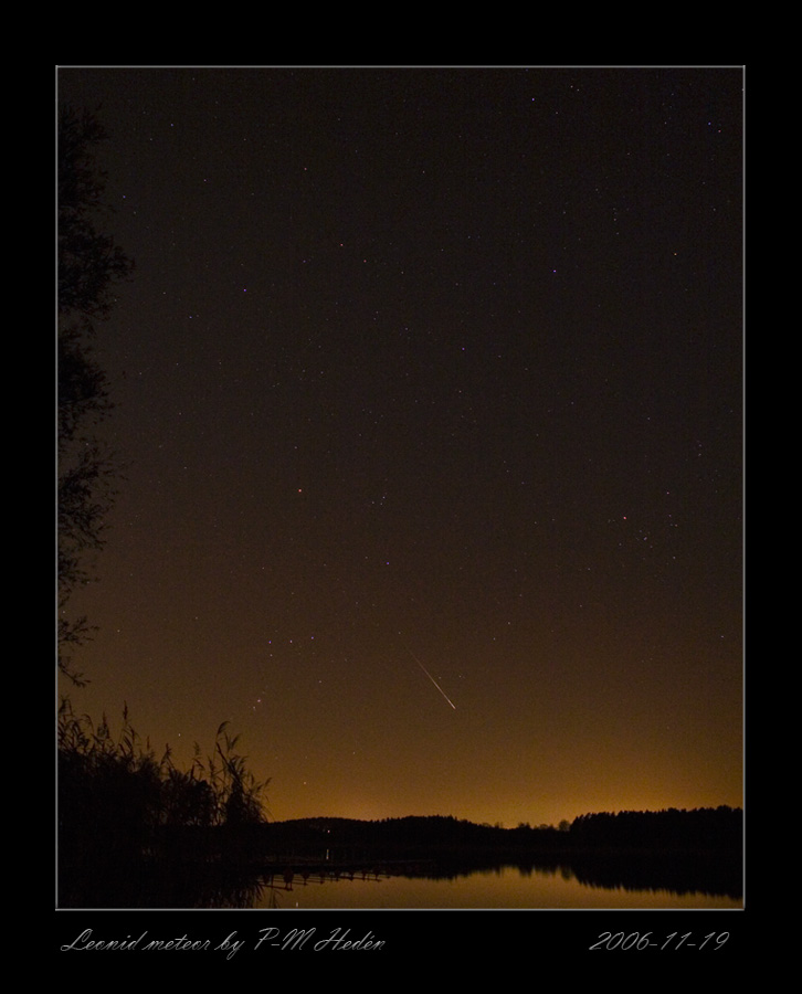 Leonid meteor