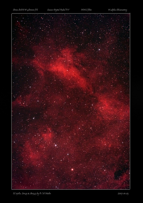 IC1318a