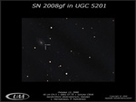SN2008gf