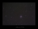 M101 Widefield